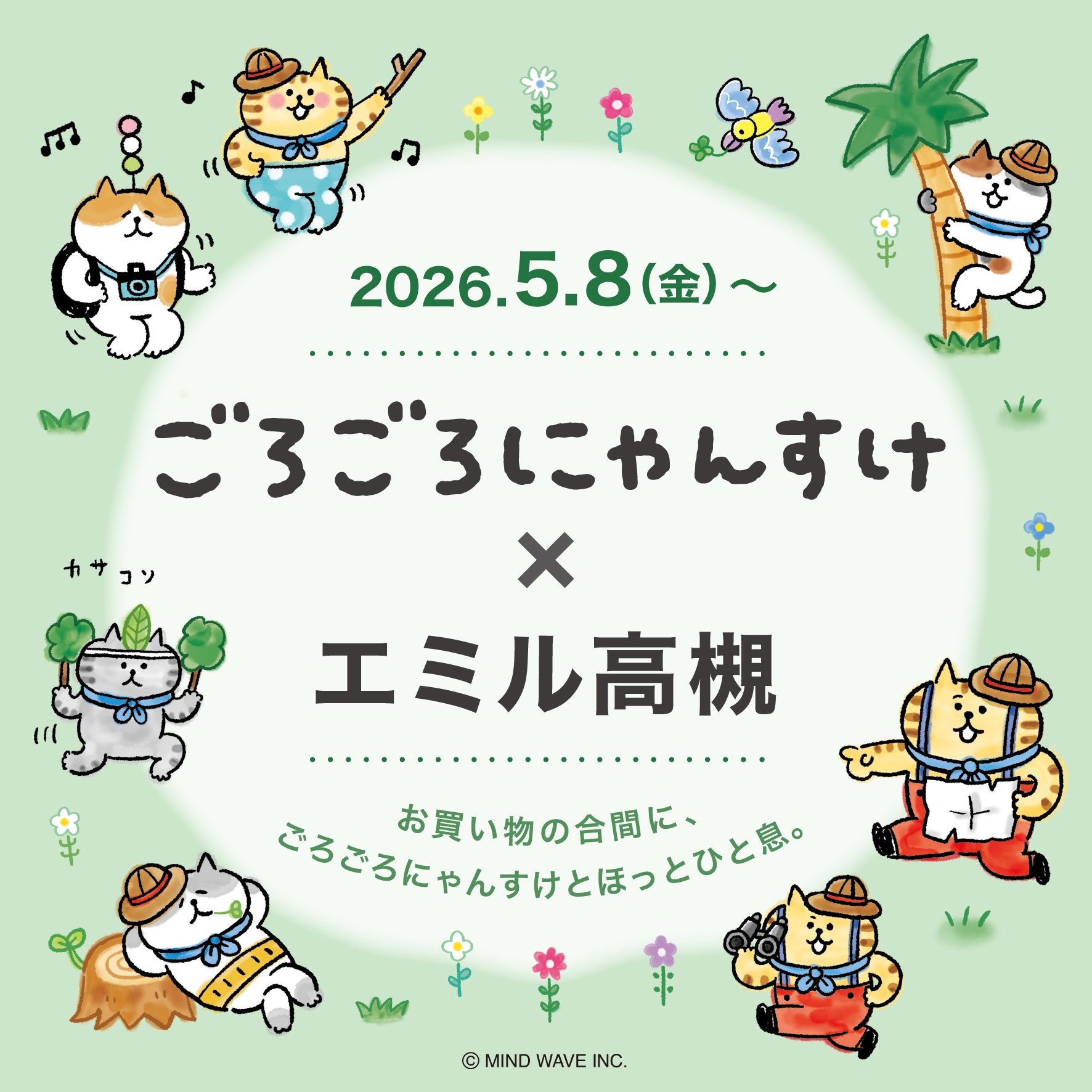 コラボ情報（マインドウェイブ）